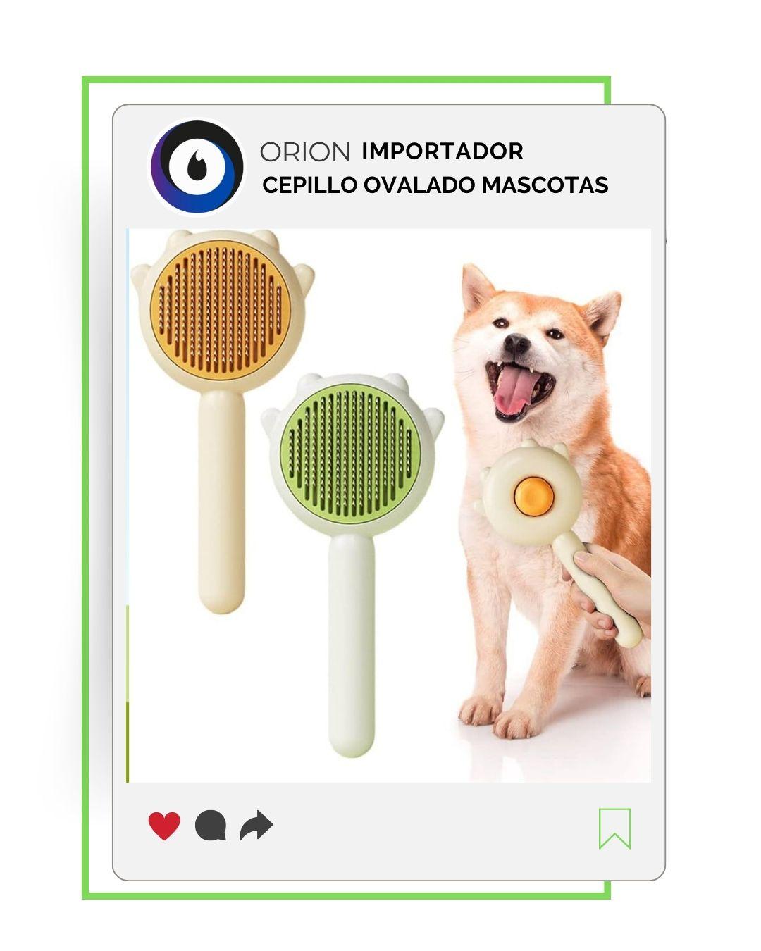 CEPILLO AUTOLIMPADO ACERO Y SILICONA
